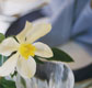 Kilmichael Country House Hotel accommodation