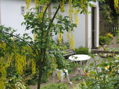 Vane Cottage - Private garden - larger image