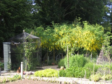 The Gardens - - larger image