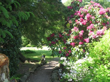 The Gardens - - larger image